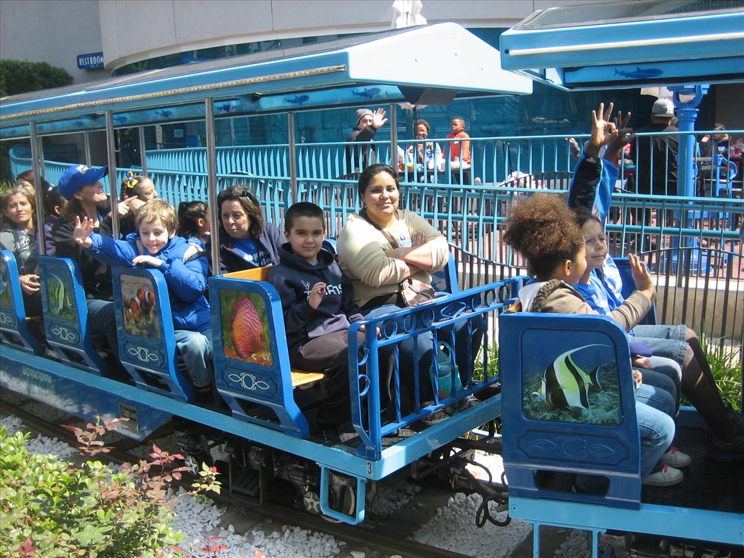 Houston Aquarium - All aboard.